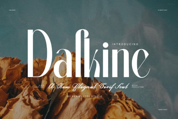 Dalkine: Redefining Visual Sophistication in Modern Digital Design