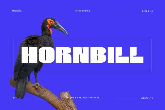 Hornbill: Integrating a Bold Display Font into Your Design Workflow